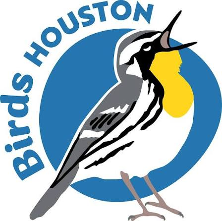 Houston Audubon Rebrands as Birds Houston